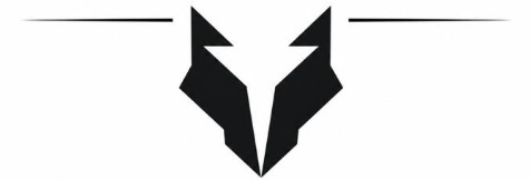 Wolf Service GmbH Logo